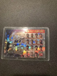 RIZIN ポテトスティック ポスターカードコレクションNo.30シークレット