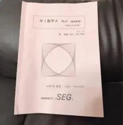 SEG夏期講習　東大解析数学・図形数学（文系）セット SEG夏期講習 東大解析数学・図形数学（文系）セット