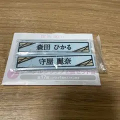 Item thumbnail for item 4ec76433-cd26-4a29-bbea-f854f6dbb0fc