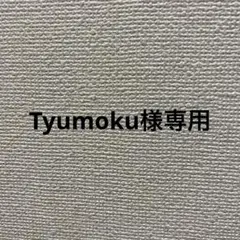 専用ページ 18.19日予定