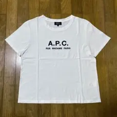 【美品】 A.P.C. RUE MADAME PARIS Ｔシャツ M