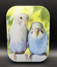 Item thumbnail for item 6aa056d7-09bd-45a2-b1fe-696af770201e