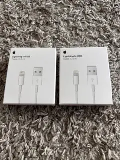 Apple ライトニングケーブル USB 2個