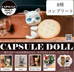 723 ガチャ　カプセルドール　猫　全5種コンプリート20