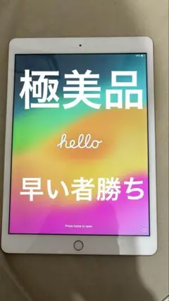 極美品iPad本体 第8世代32GB