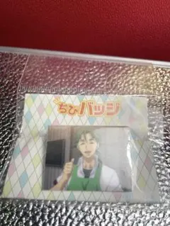 KING OF PRISM キングオブプリズム 鷹梁ミナト　チビバッジ