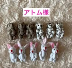 アトム様用セット