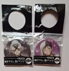 ドクターストーン　缶バッジ2個セット