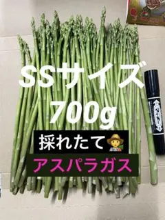 採れたてアスパラガス SSサイズ700g