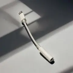 iPhone 変換アダプタ ライトニング 新品未使用R ライトニング Abnte