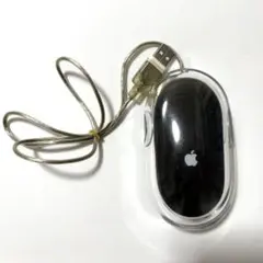 Apple純正 ProMouse M5769