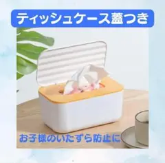 フタ付き　ティッシュケース　マスクケース　白　ホワイト　壁掛け　フック　ばね