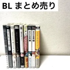 【美品】 BL まとめ売り