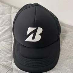 Item thumbnail for item 2d353ee9-e189-462f-bb9f-4786210c51ba