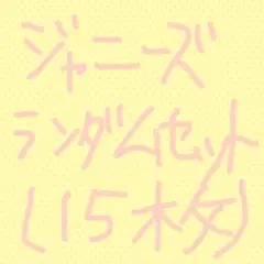ジャニーズ ランダムセット (15枚)