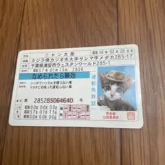 希少　非売品　なめ猫免許証