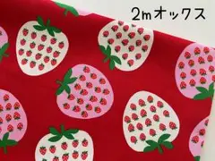 2m　いちご　フルーツinフルーツ　オックス　生地　苺　レッド　237