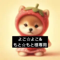 専用ページ