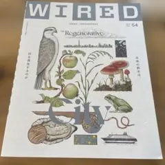 WIRED(54) 2024年11月号