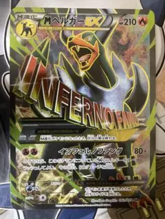 ローダー封入発送　MヘルガーEX SR XY8 赤い閃光 061/059
