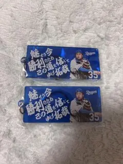 中日ドラゴンズ　選手応援歌キーホルダー　木下拓哉2個セット