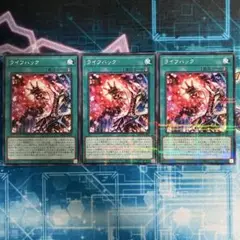 ライフハック　3枚セット