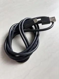 Nintendo USB-C ケーブル