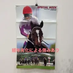 スペシャルウィーク　特大ポスター【当時品】競馬　サラブレ79cm×50cm武豊