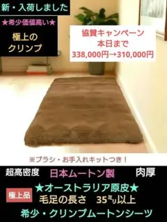 最高級（日本ムートン製）超高密度クリンプムートン　シングル