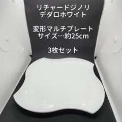 RichardGinori リチャードジノリ プレート3枚セット