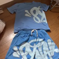 シナワールドセットアップ