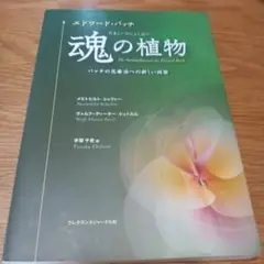 魂の植物 パッチフラワー