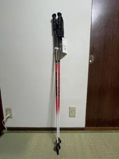 OGASAKA ストック 115cm スキー アルペン