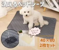 Item thumbnail for item 081acbad-73f4-4802-9bda-984e283cdfc9