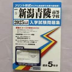 Item thumbnail for item b04f538e-0cc9-4398-9926-a41c9becbb50