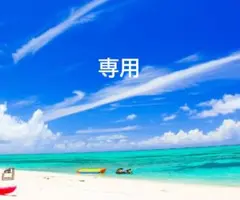 Item thumbnail for item 40c47c87-7b4b-49f4-bd18-b2204411daa0