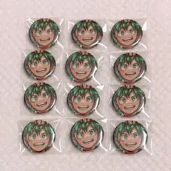 ヒロアカ ディスプレイ缶バッジ 緑谷出久 12点