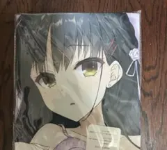 ゆずソフト 喫茶ステラと死神の蝶 四季ナツメ 抱き枕カバー 160cm×50cm