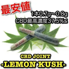 【最安値セール】アメリカ産CBDジョイント 5本