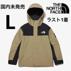 【国内未発売】ノースフェイスMARTISジャケット L