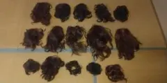 ウィッグ いろいろ まとめ 15点 セット プリシラ他 おまけウィッグスタンド