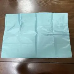 水色 エコバッグ ナイロン製