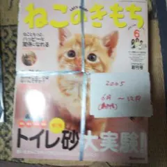ねこのきもち 2005年6月号(創刊号)~12月号