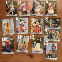ハモカラ コレクションカード　13枚