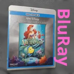 Item thumbnail for item 14e2c737-1572-4bb2-bd27-50abd0ee6701