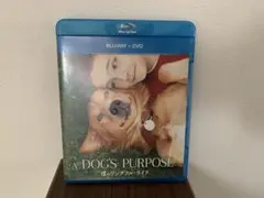 Item thumbnail for item b27e7dc6-d341-4d9e-9762-bc300708e000