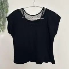 【値下げ】カスタネ シアーレースTシャツ フレンチスリーブ 黒 シンプル 夏