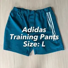 Adidas Training Pants Lサイズ