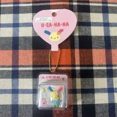 サンリオ ミニチュアパッケージチャーム ウサハナ