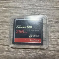 SanDisk Extreme PRO 256GB CompactFlash